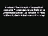 [PDF] GeoSpatial Visual Analytics: Geographical Information Processing and Visual Analytics