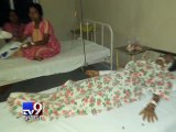 Stray dog menace spreads panic in Valsad - Tv9 Gujarati