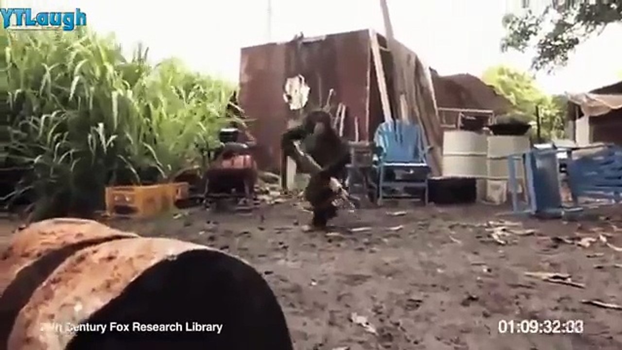 Funny videos 2016 _ Stupid people doing stupid things