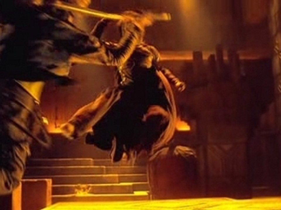 Tiger wong & dragon noir VS schibumi