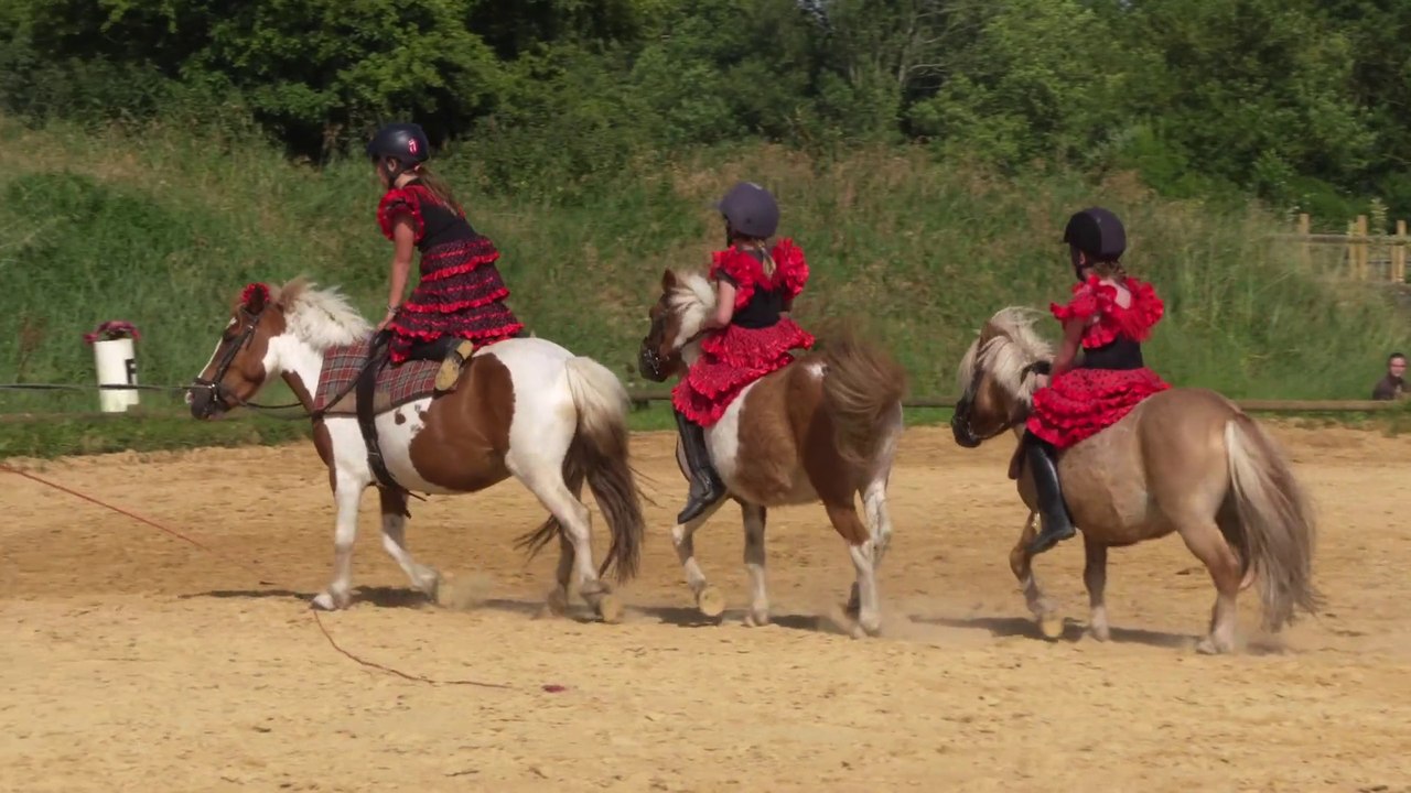 Zorro aux écuries de l'Aubrée