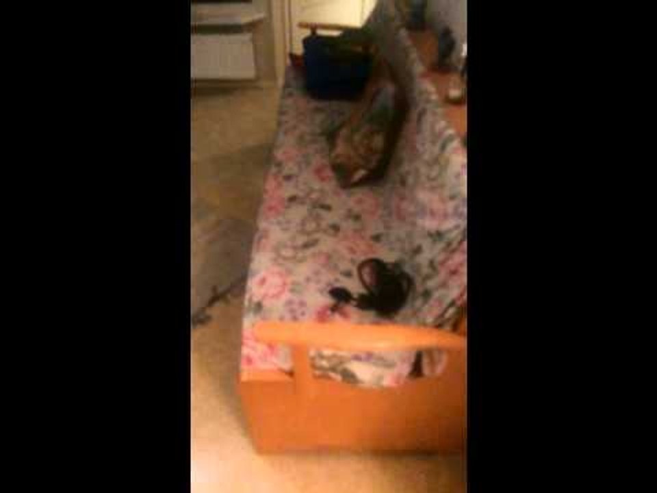 House room tour