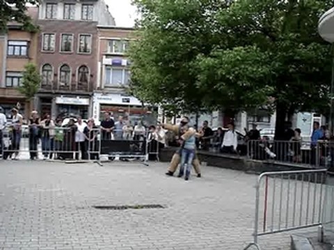 Berger Malinois in démo