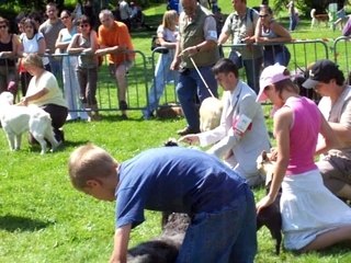 VIDEO AURILLAC 2007 001