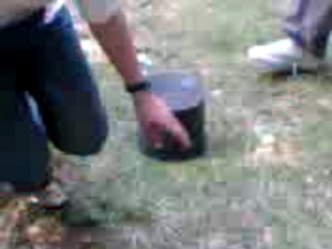 pétard au bois ( 2 )