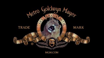 mgm lion collab entry