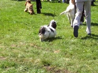 VIDEO AURILLAC 2007 002