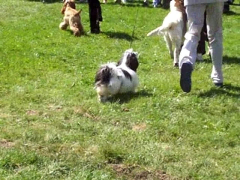 VIDEO AURILLAC 2007 002