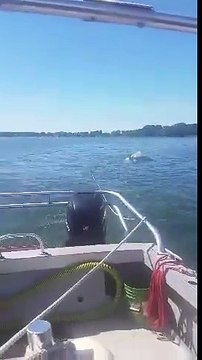 Comment retourner un bateau coulé avec un treuil..?