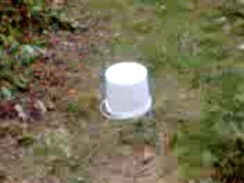 pétard au bois( 4 )