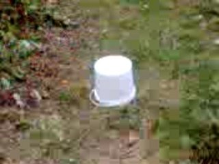 pétard au bois( 4 )