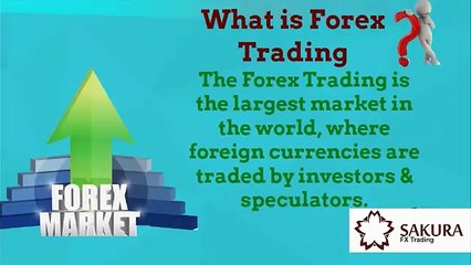 Forex Trading For Beginners