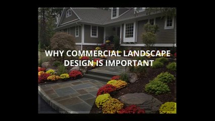 Enhance Your Business with Expert Commercial Landscape Design 🌿