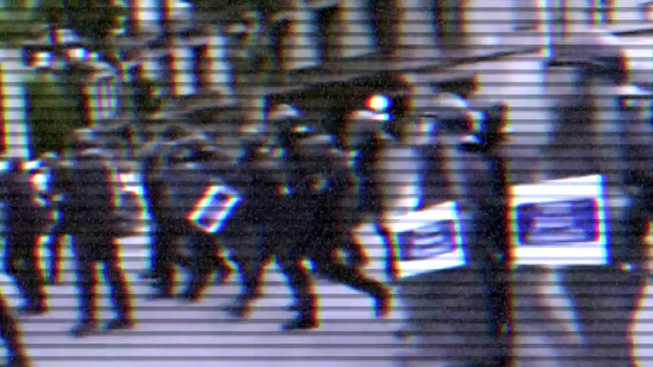 Профессор Шабуров Н.В. о клевете Дворкина, нападках на экспертов (1)