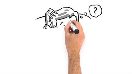 Auto Glass Repair in Regina by ChipWizard.ca