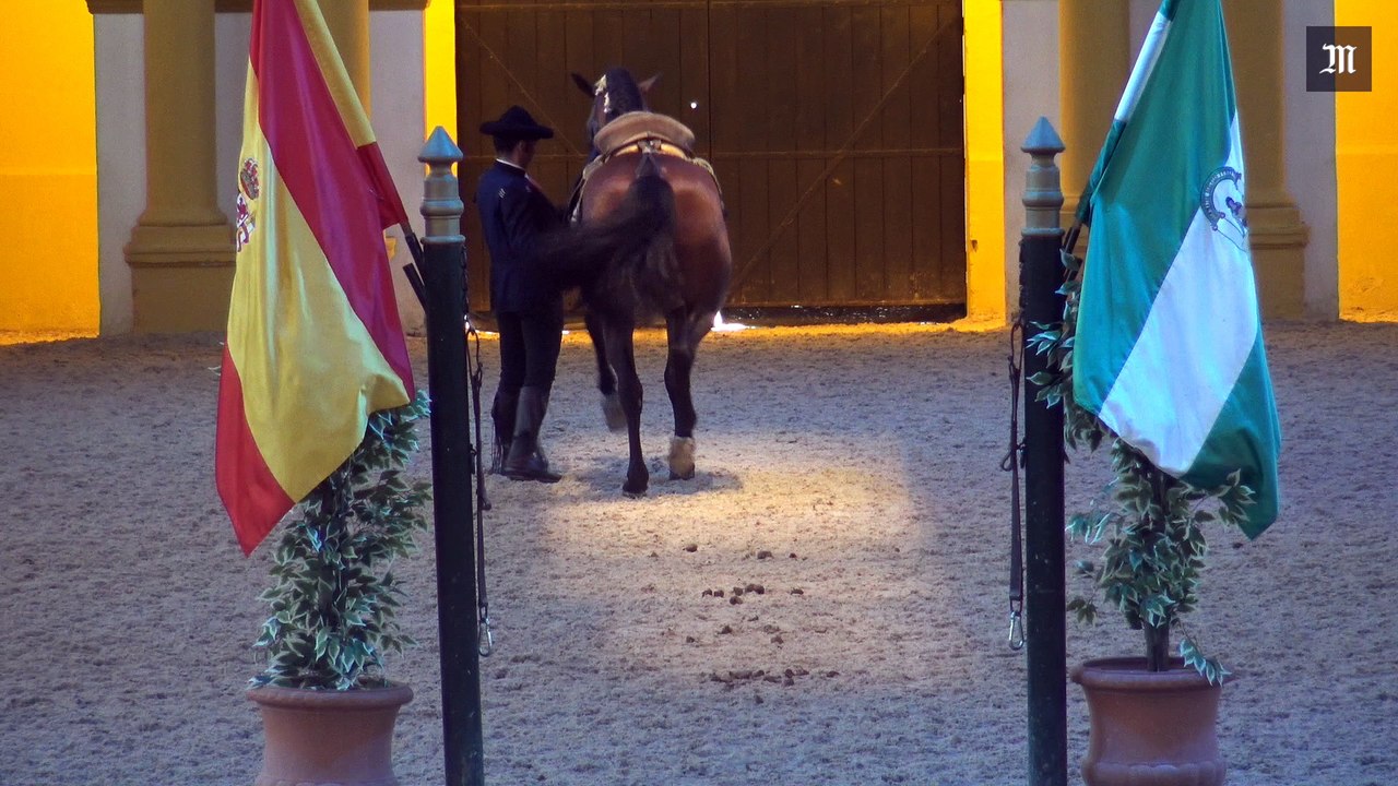 A l'école andalouse du dressage équestre