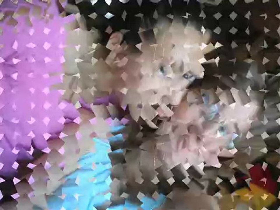 Juju et soso ds le role de juju et soso!