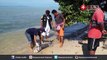 พบซากโลมาเกยตื้นตายชายหาดเกาะสมุยเป็นตัวที่ 25 ในรอบปีนี้ : NewsConnect Channel