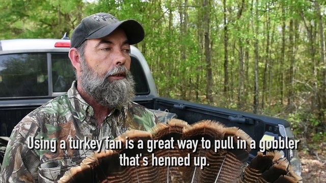 Turkey Hunting Tip: How to Fan in a Long Beard