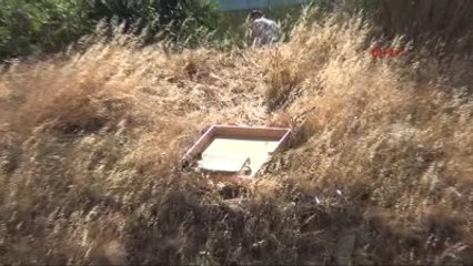 Bursa - Bandırma'da Alkol Bağımlısının İlginç Ölümü