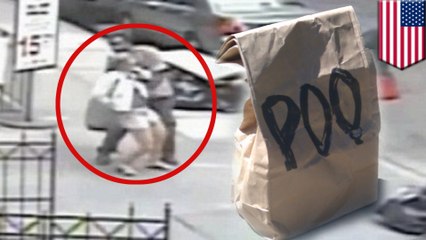 Man shoves bag of poop down woman’s shorts in bizarre New York attack