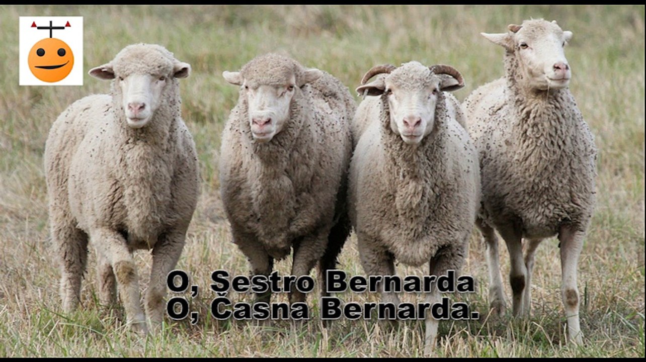 Lik Katolik - Sestra (San Bernardino)
