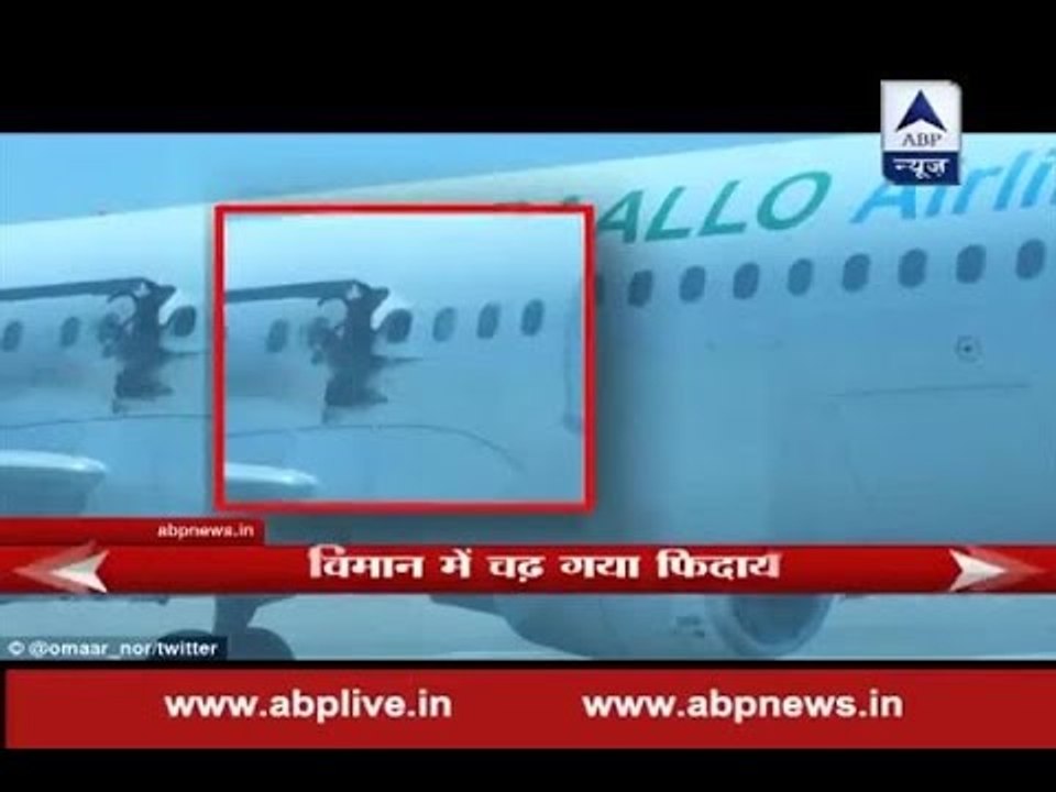 Fidayeen suicide bomber thrown out of plane at...