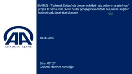 Verici Takılan Leyleklere Uydudan Takip -Samsun