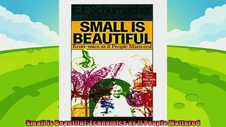 behold  Small Is Beautiful Economics as if People Mattered