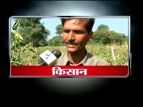 101 Current Affairs Programme Khet Se Kisan tak Showreel MPEG 4