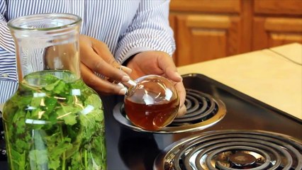 Voici une plante qui empêchera aux insectes et rongeurs d'entrer dans votre maison !