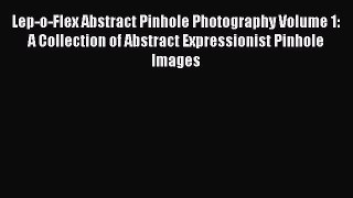 PDF Lep-o-Flex Abstract Pinhole Photography Volume 1: A Collection of Abstract Expressionist