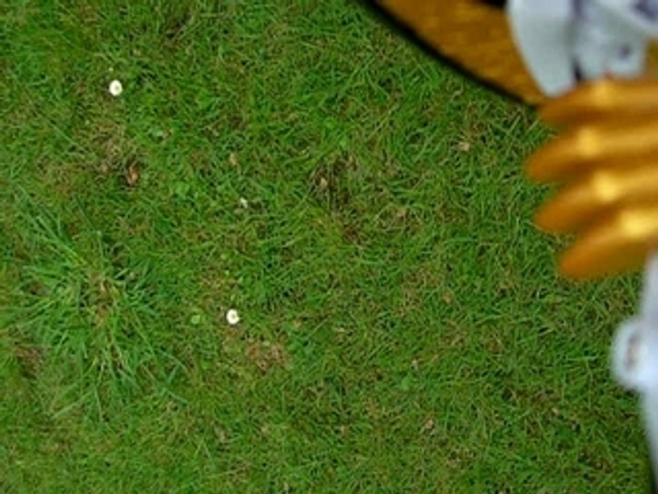 PteraCam