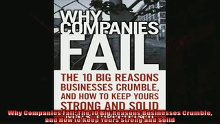 Popular book  Why Companies Fail The 10 Big Reasons Businesses Crumble and How to Keep Yours Strong and