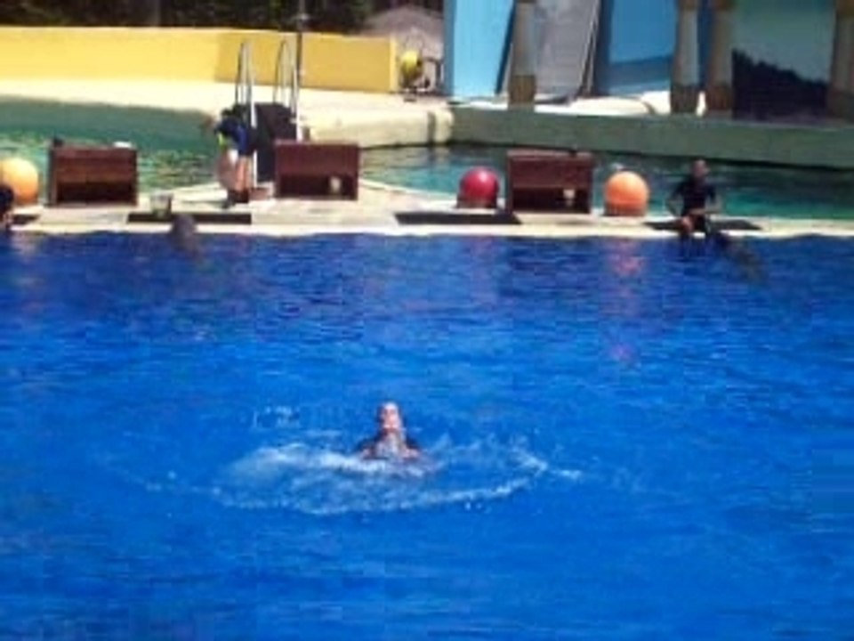 Saut du dauphin