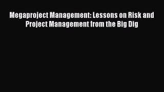 Read Megaproject Management: Lessons on Risk and Project Management from the Big Dig Ebook
