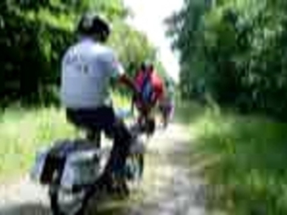 Solex GAGAs 070715 - 06 - Dans le bois