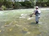 Le club mouche ferme pour l'été merci aux copains et à l'equipe de Riera pêche pour tous leurs conseils qui m'ont aidé à progresser....