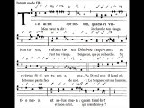 Introitus Tibi dixit, S. Mariae Magdalenae, 22 iulii