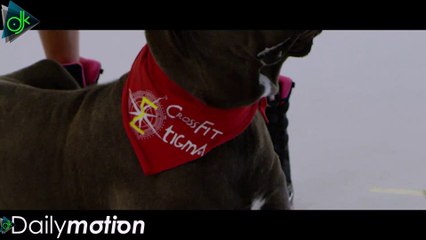 Κατερίνα Στικούδη & TNS - Πιράνχας (Official Video Clip)