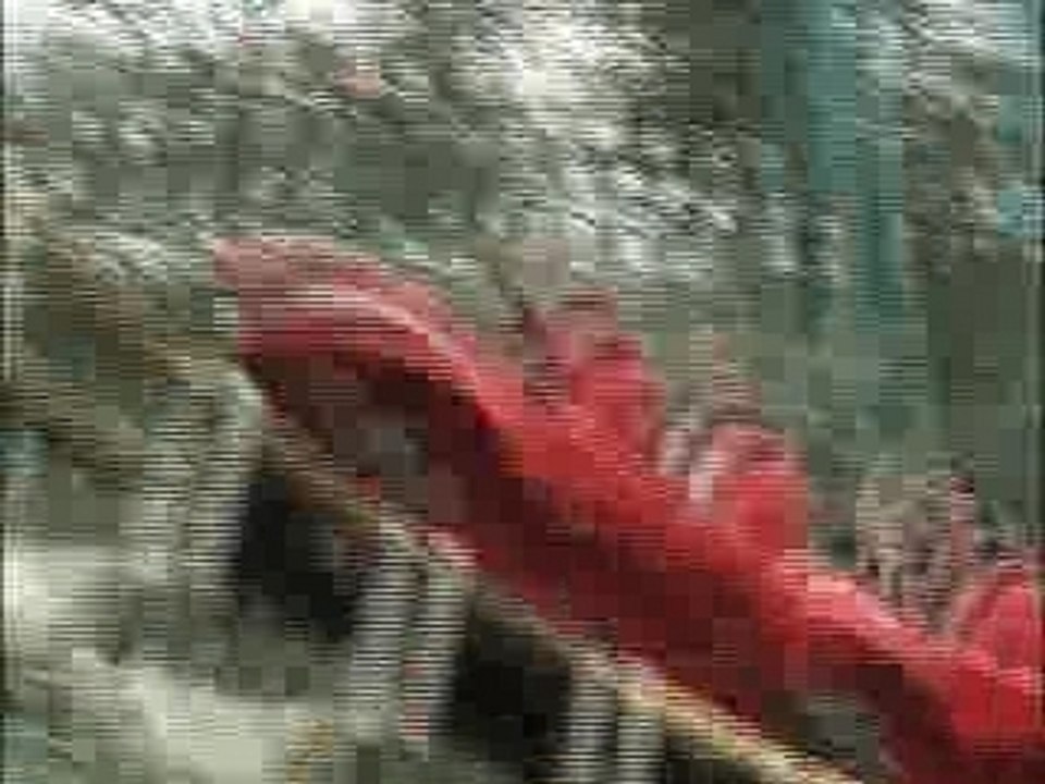 Parc Asterix 2007