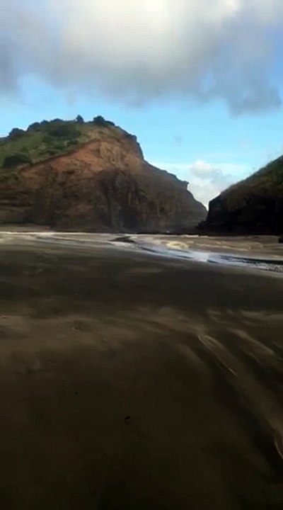 Piha beach Auckland New Zealand