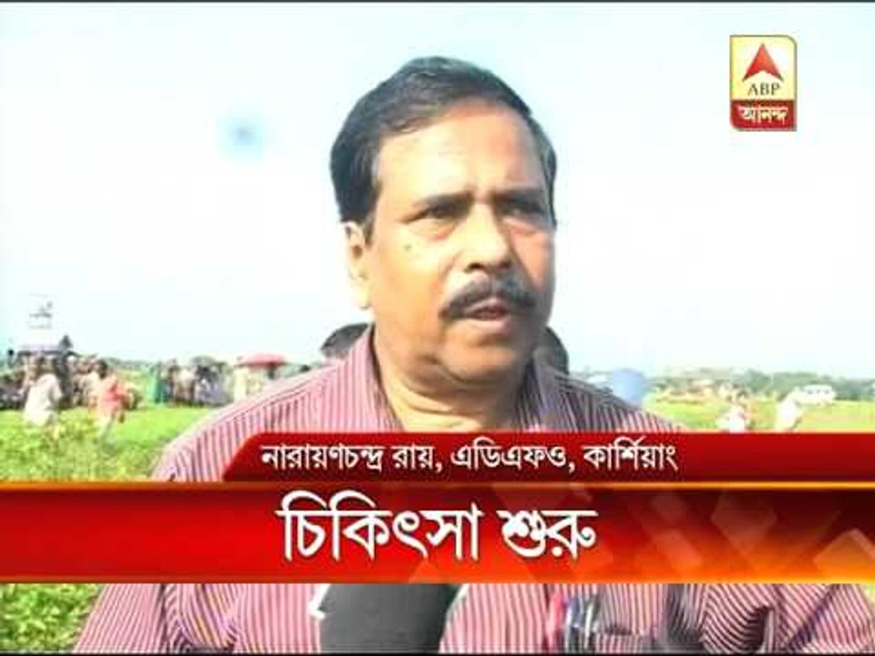 Forest department starts treatment of a elephent, injured in firing