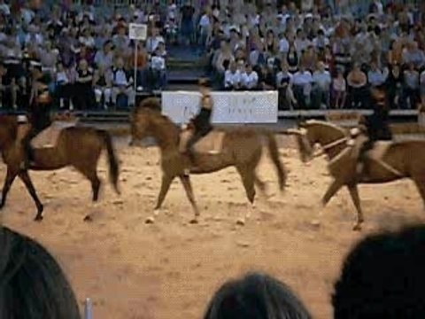 Le Spectacle du Cadre Noir Saumur