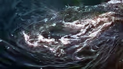 Swimming with a Whirlpool! (Ocean Whirlpool) - AG-dailymotion