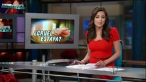 Pamela Silva Conde 2011/12/29 Primer Impacto HD; Red dress