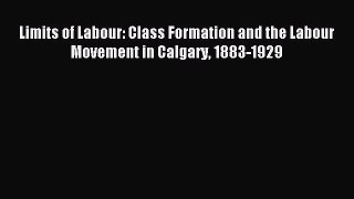 [PDF] Limits of Labour: Class Formation and the Labour Movement in Calgary 1883-1929 [Download]