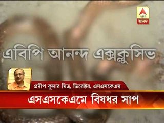 Snake at SSKM: hospital super says they are looking into it