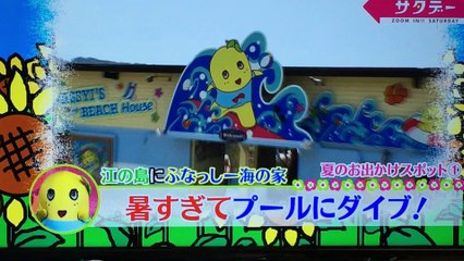 暑過ぎてダイブなし