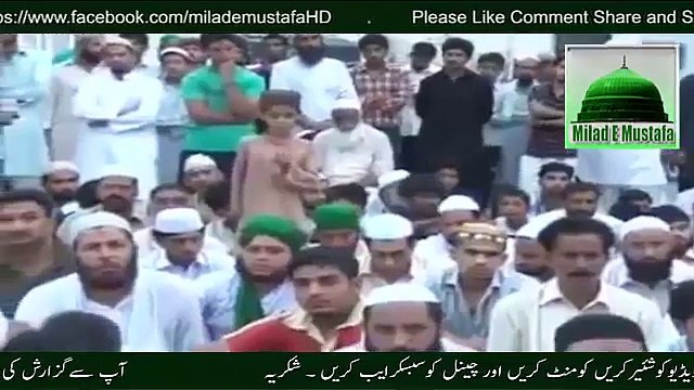 Allama Raza Saqib Mustafai Sahib